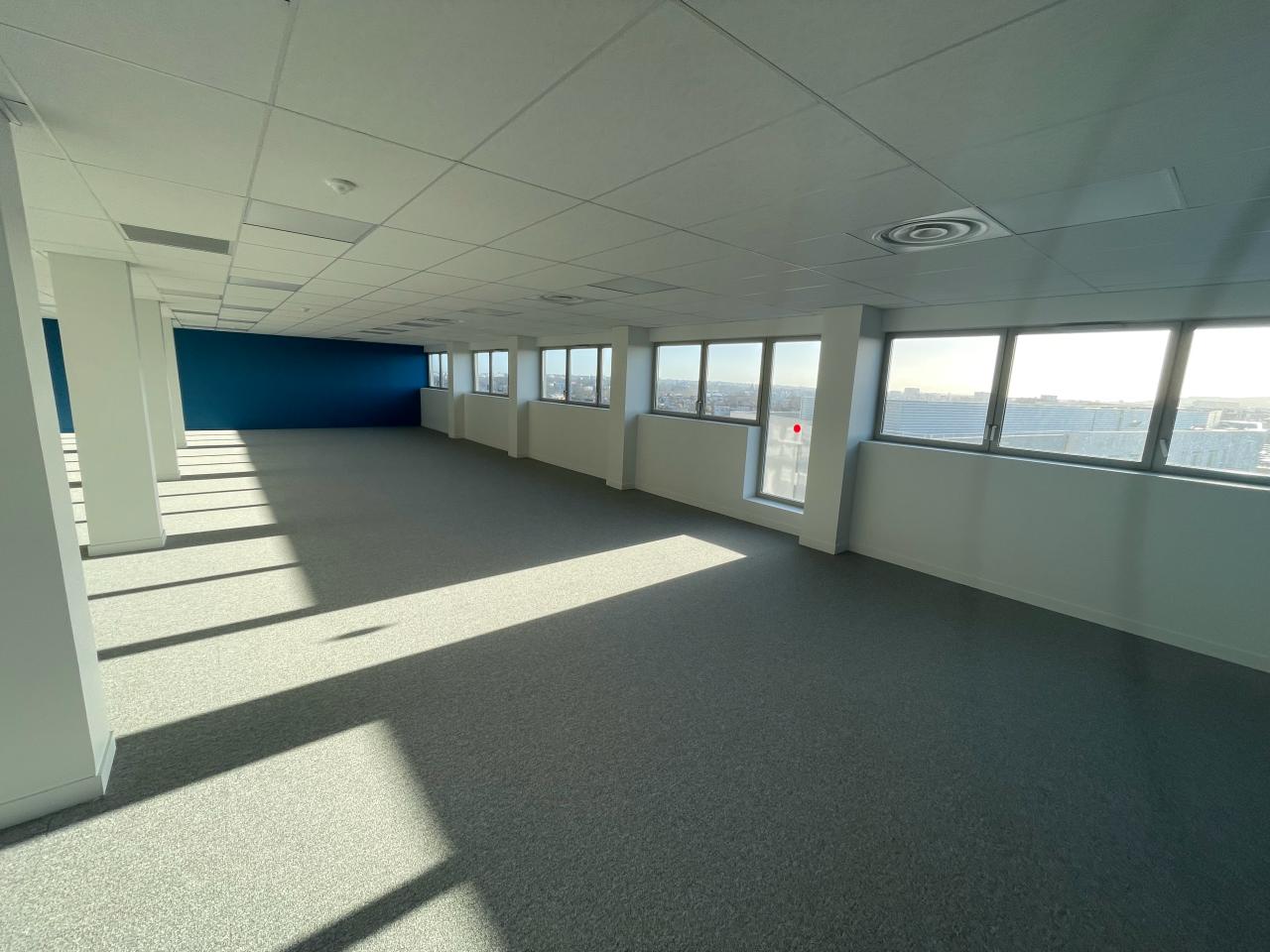 Bureau Toulouse 6021m² Location bureau Toulouse Haute-Garonne OLBUR2206686 12